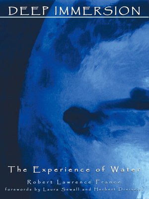 cover image of Deep Immersion